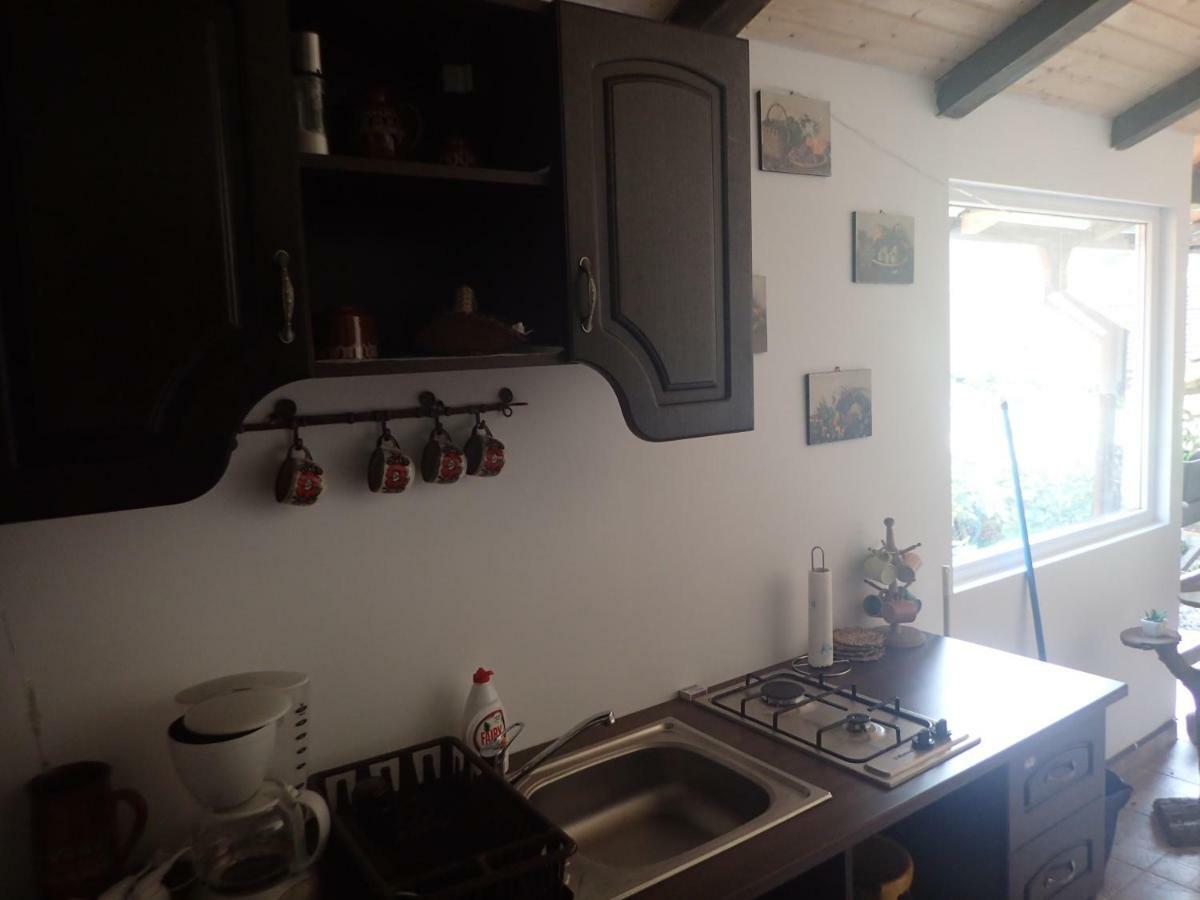 Casa De Oaspeti Dunarea La Cazane Dubova Εξωτερικό φωτογραφία